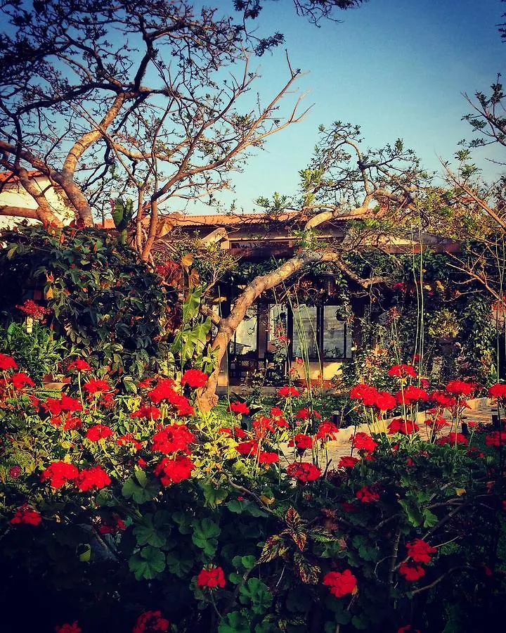 *** Bed & Breakfast Bed and Breakfast Casa San Juan Antigua Guatemala